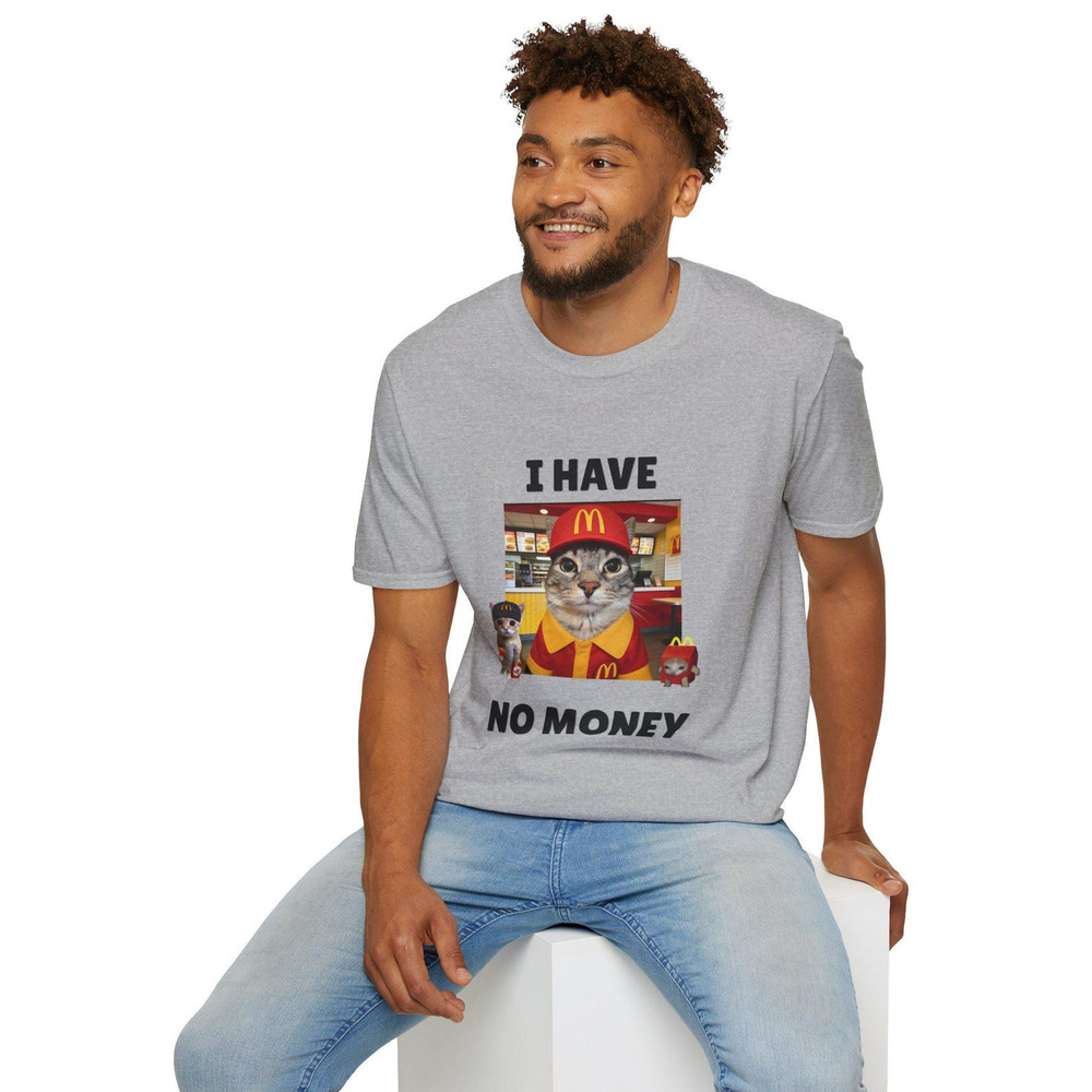 Funny Cat Meme Shirt, Funny Cat Tee, I Have No Money Shirts